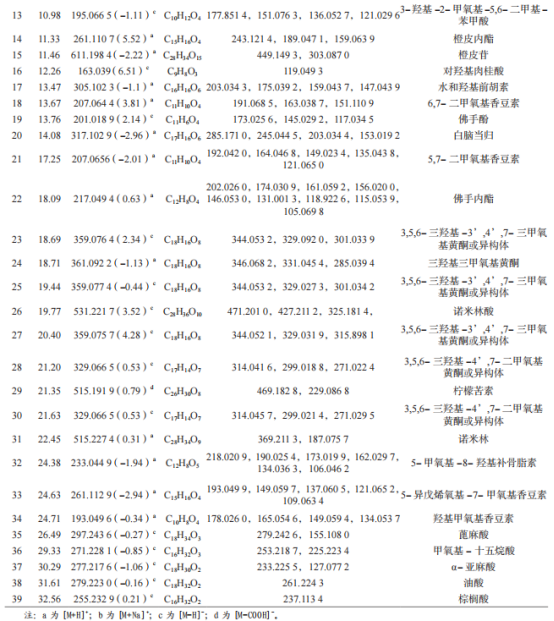 微信圖片_20250709152047